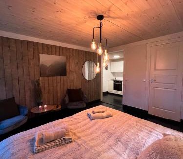 Vossestrand Apartment | Voss-Oppheim Suites Pool&Sauna Voss & Flom - L2
