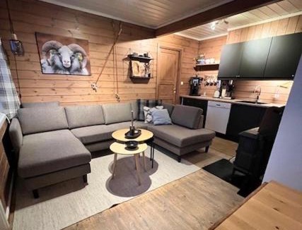 Skulestad Apartment | Voss Resort self-service apartments