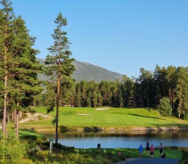 Kviteseid Apartment | Vrådal Golf, Mountain and Water Views
