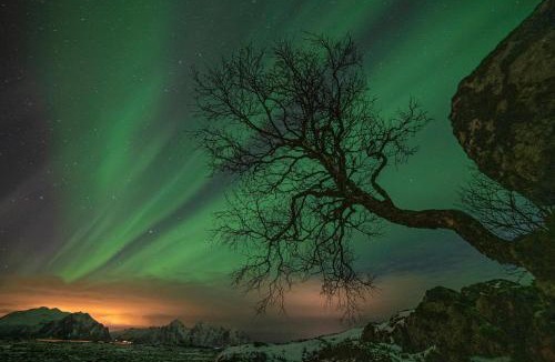 Bostad House | Wildlife Panorama Lofoten