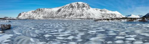 Bostad House | Wildlife Panorama Lofoten