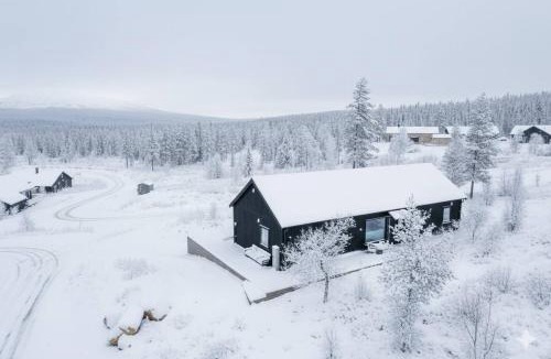 Grondalen House | Winter cabin with Jacuzzi