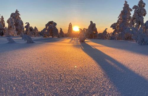 Overbyn Other | Winter Glamping Tent Hovfjallet Vitsand