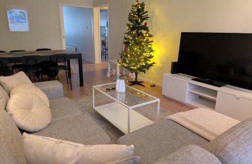 Kemi Apartment | Wonderful,warm & big apartment in Kemi city center