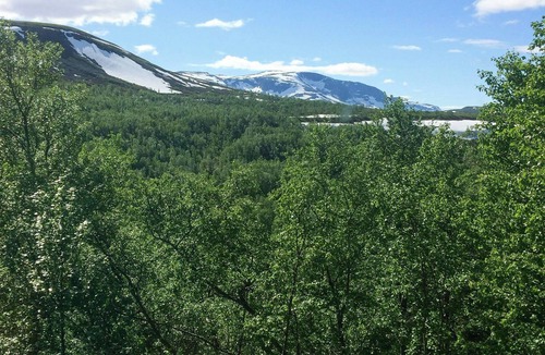 Hol Municipality House | Wooden cabin from the 70s at tree line in Geilo