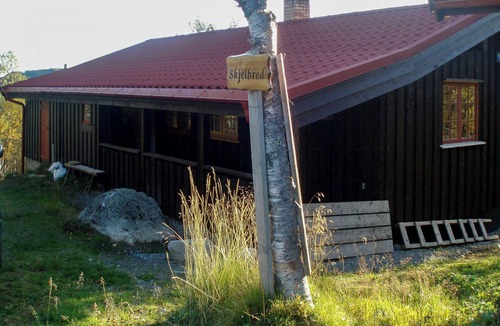 Hol Municipality House | Wooden cabin from the 70s at tree line in Geilo