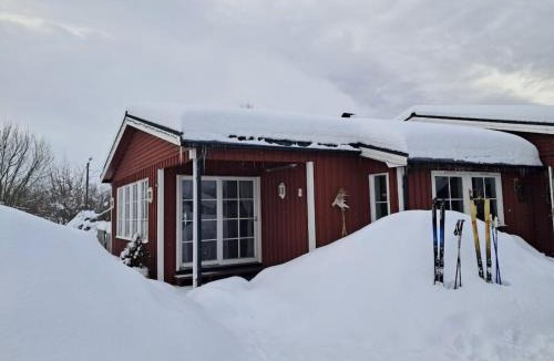 Bostad Apartment | Your Lofoten Home Base, Quiet & Well Located Basement Apartment