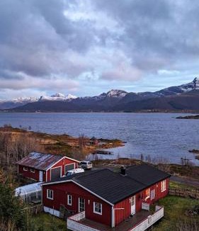 Bostad Apartment | Your Lofoten Home Base, Quiet & Well Located Basement Apartment