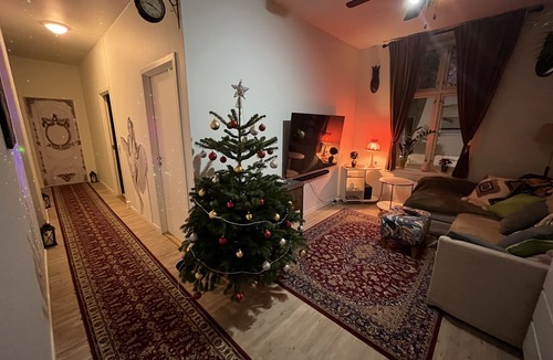 Oslo City Centre Apartment | Zen house for healing stay Oslo Norway, walks away from Train and Bus stations❤️