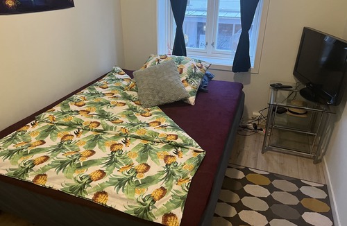 Oslo City Centre Apartment | Zen house for healing stay Oslo Norway, walks away from Train and Bus stations❤️