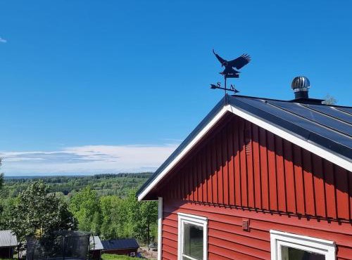 Örnen'
