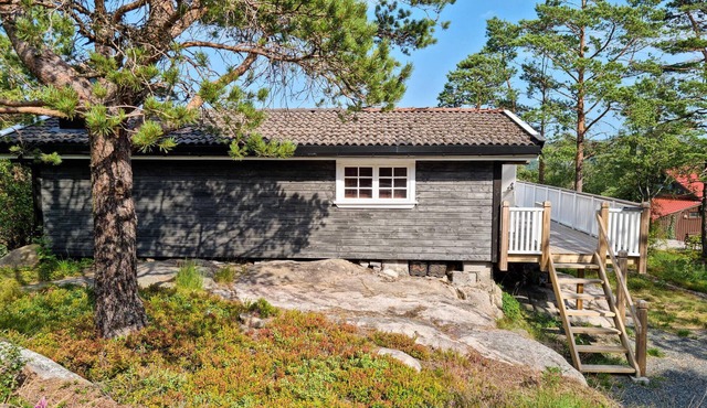 1 bedroom beautiful home in Lyngdal