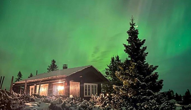 1 bedroom pet friendly home in Sjusjøen