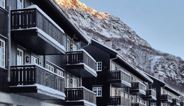 2 bedroom cozy apartment in Røldal