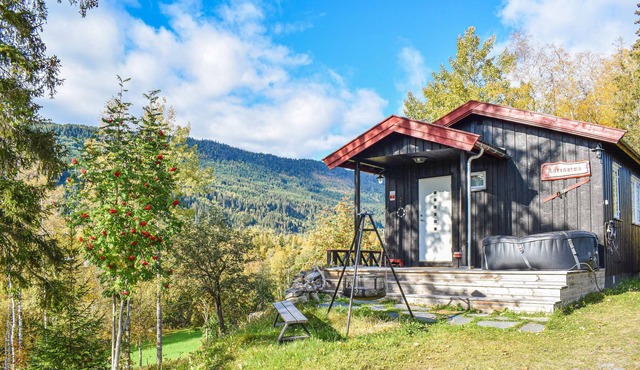 3 bedroom accommodation in Østre Gausdal