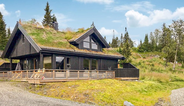 3 bedroom accommodation in Øyer