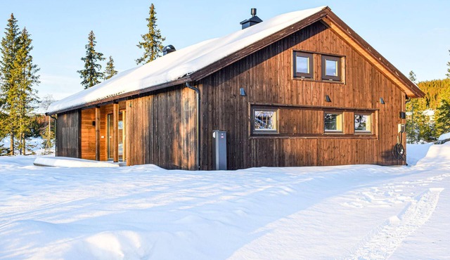 3 bedroom amazing home in Lillehammer