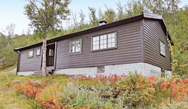 3 bedroom amazing home in Haugastøl