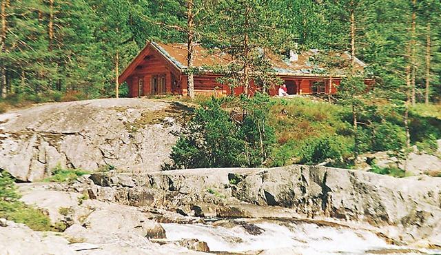 3 bedroom amazing home in Dølemo