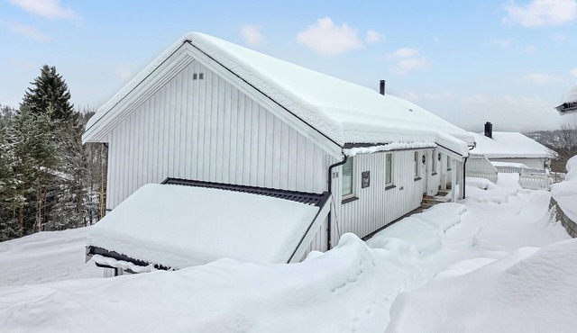 3 bedroom awesome apartment in Vinje