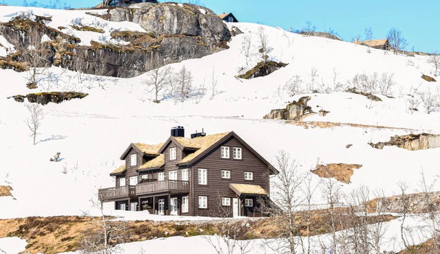 3 bedroom awesome home in åseral