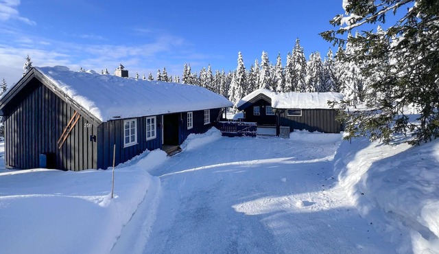 3 bedroom awesome home in Sjusjøen