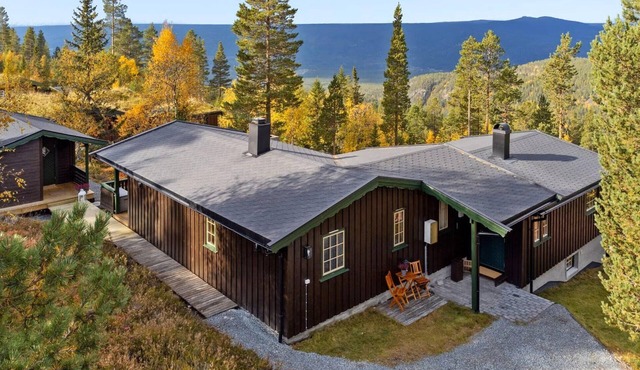 3 bedroom beautiful home in Rendalen