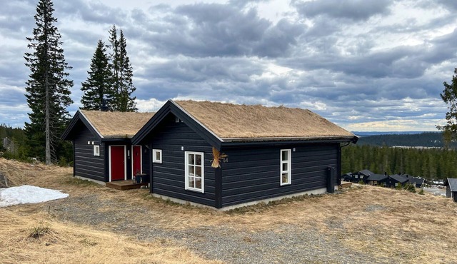 3 bedroom beautiful home in Lillehammer