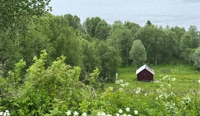 3 bedroom beautiful home in Nordhallen