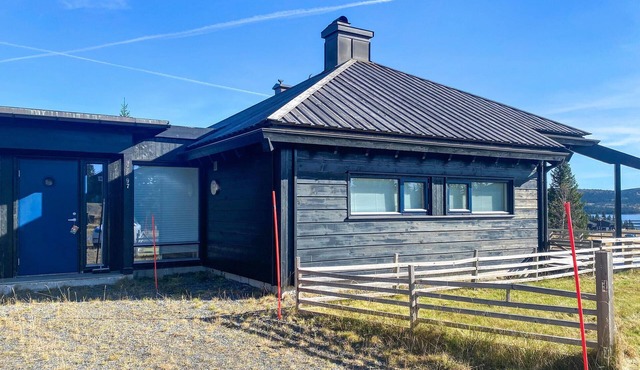 3 bedroom cozy home in Sjusjøen