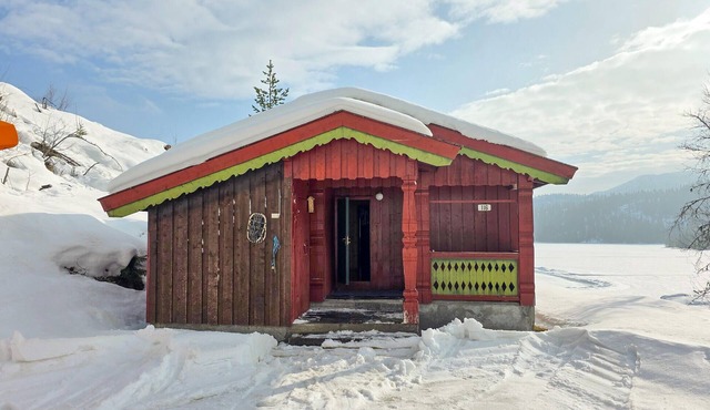 3 bedroom gorgeous home in Vinje