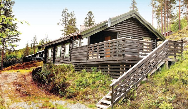 3 bedroom stunning home in Rendalen in Rendalen