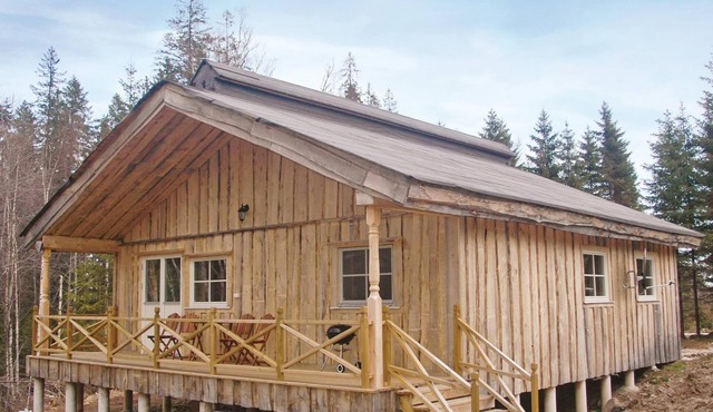 3 bedroom stunning home in Mellerud