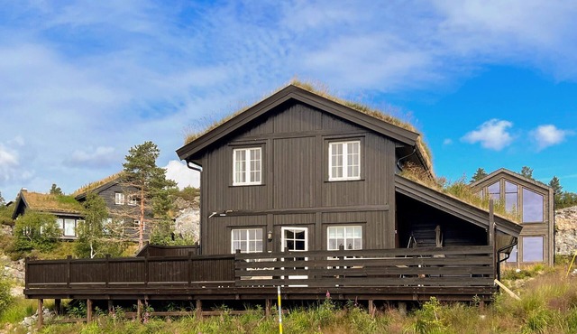 4 bedroom amazing home in åseral