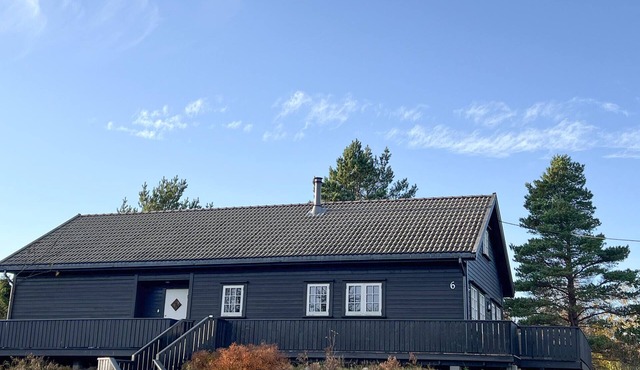 4 bedroom beautiful home in Lyngdal