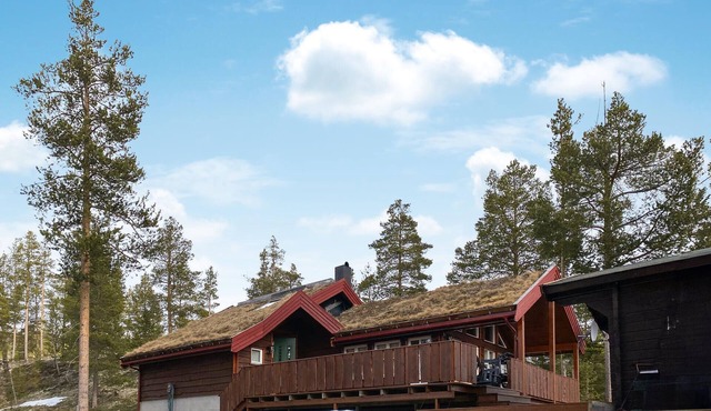 4 bedroom cozy home in Lesjaverk