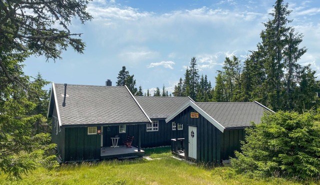 4 bedroom gorgeous home in Sjusjøen