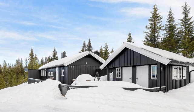 4 bedroom gorgeous home in Sjusjøen
