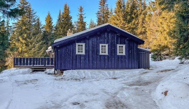 4 bedroom lovely home in østre gausdal