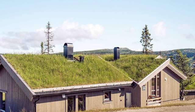 4 star holiday home in Fåvang