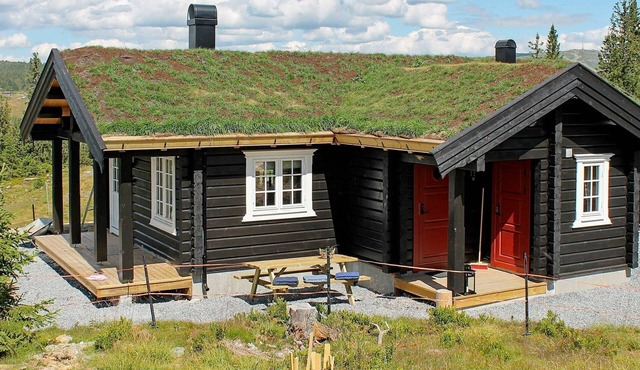 4 star holiday home in Svingvoll