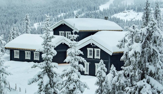 4 star holiday home in Fåvang