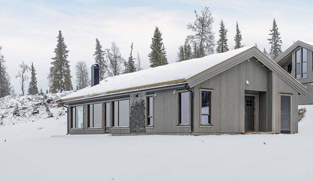 4 star holiday home in Fåvang