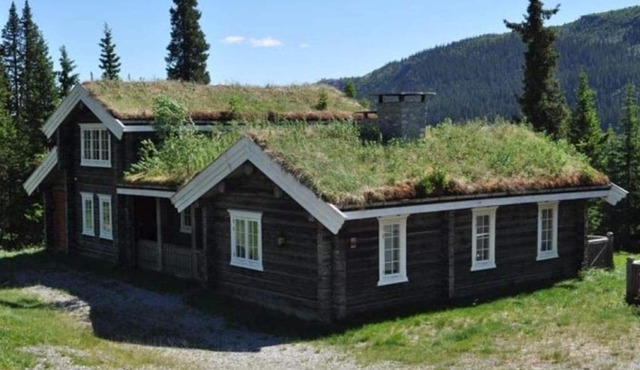 4 star holiday home in Fåvang