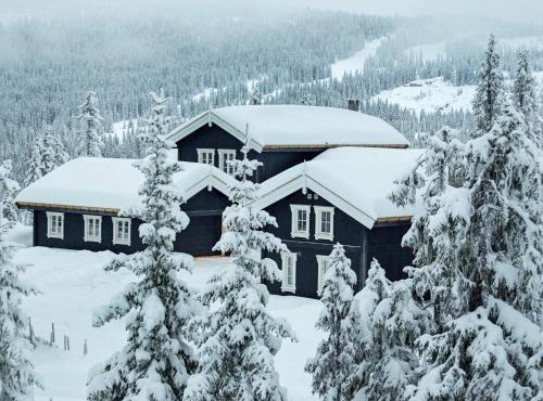 4 star holiday home in Fåvang