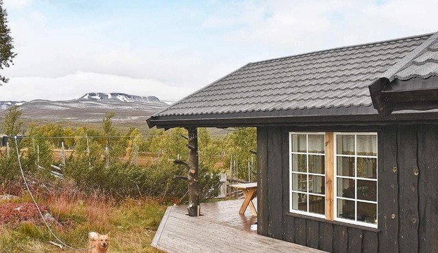 4 star holiday home in Rennebu