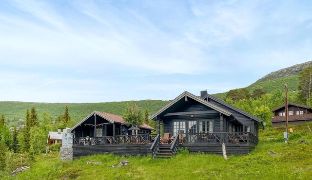 6 bedroom stunning home in Bjorli