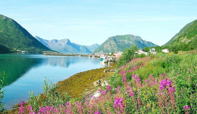 8 person holiday home in Kaldfarnes