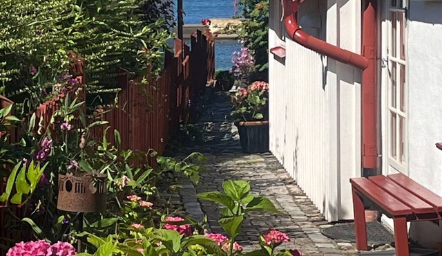 A stone's throw from the sea on the baltic coast in Simrishamn