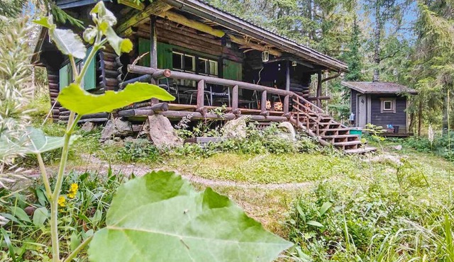 A well-equipped log cabin in Nuuksio National Park